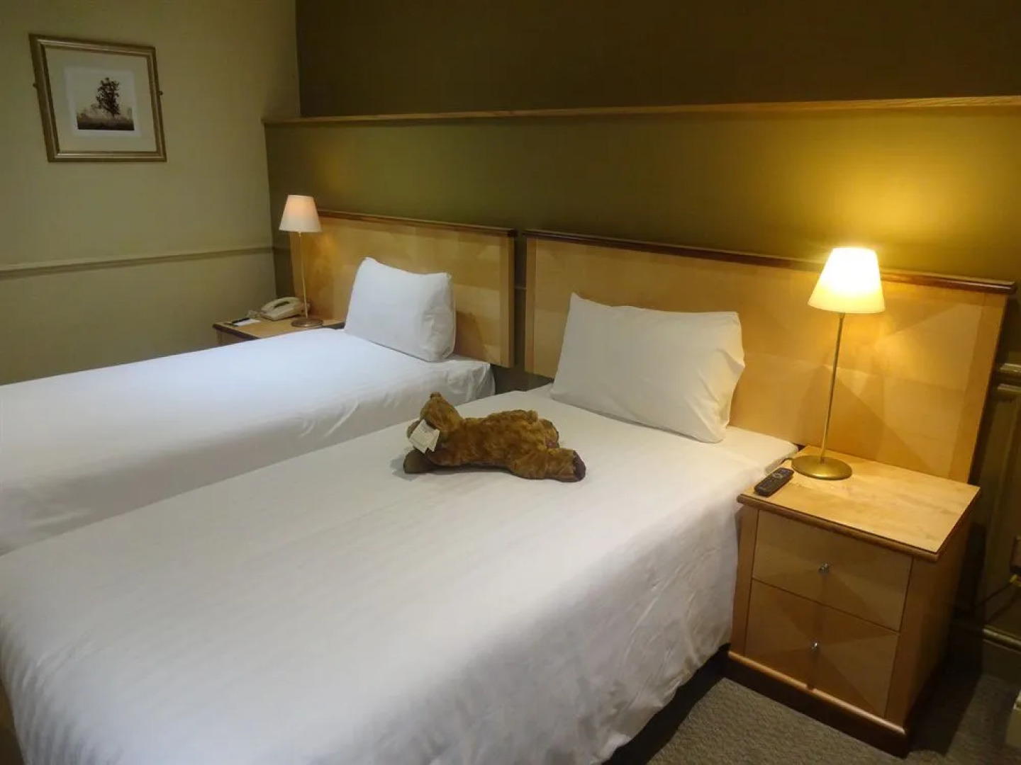 The Swan Hotel, Stafford, Staffordshire