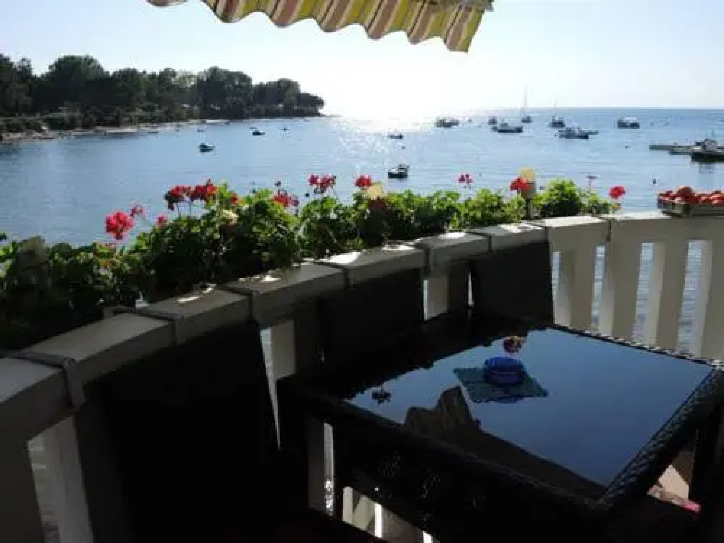 Apartment Asima