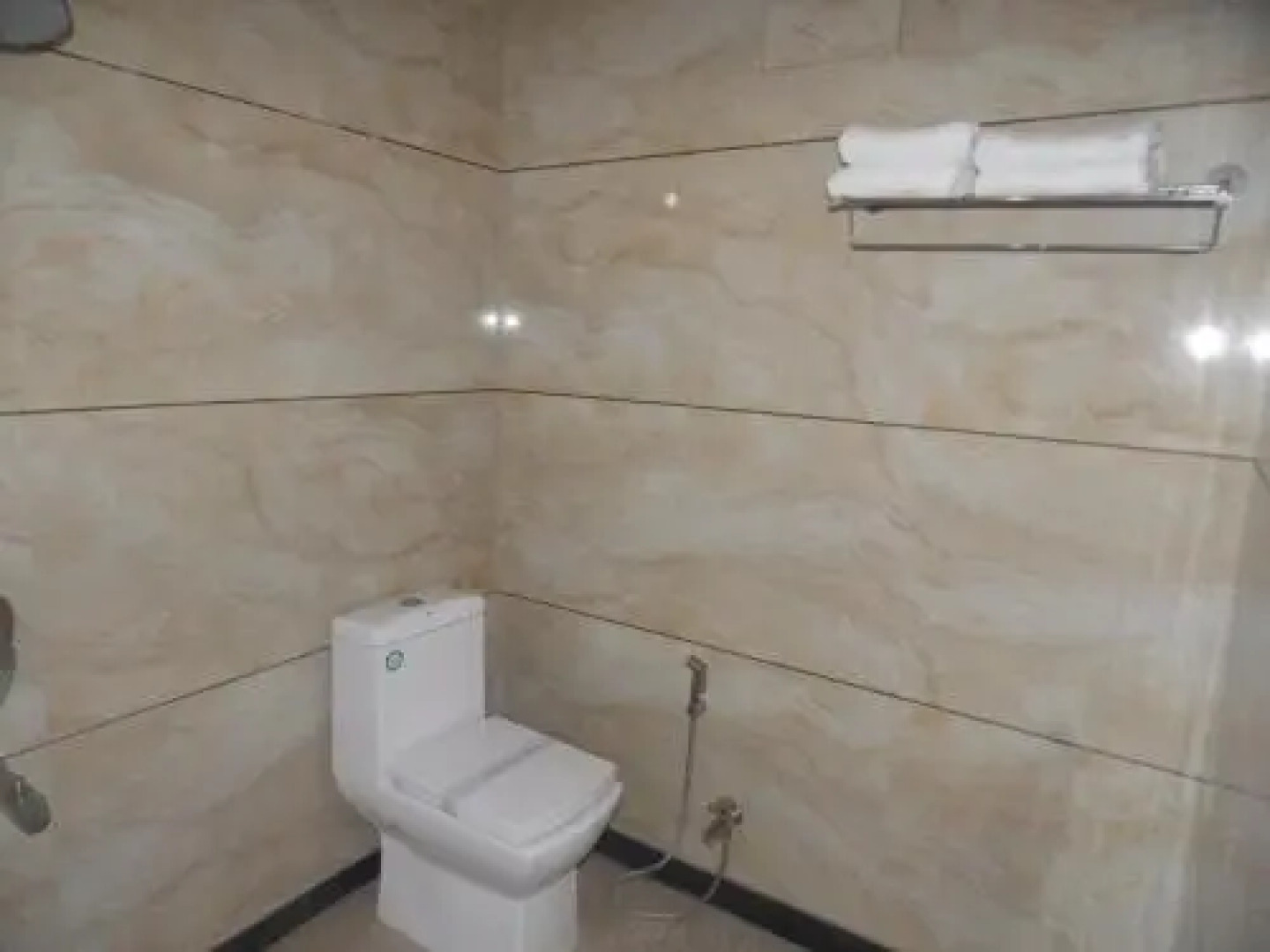 Hotel Royal Palace - Sagar