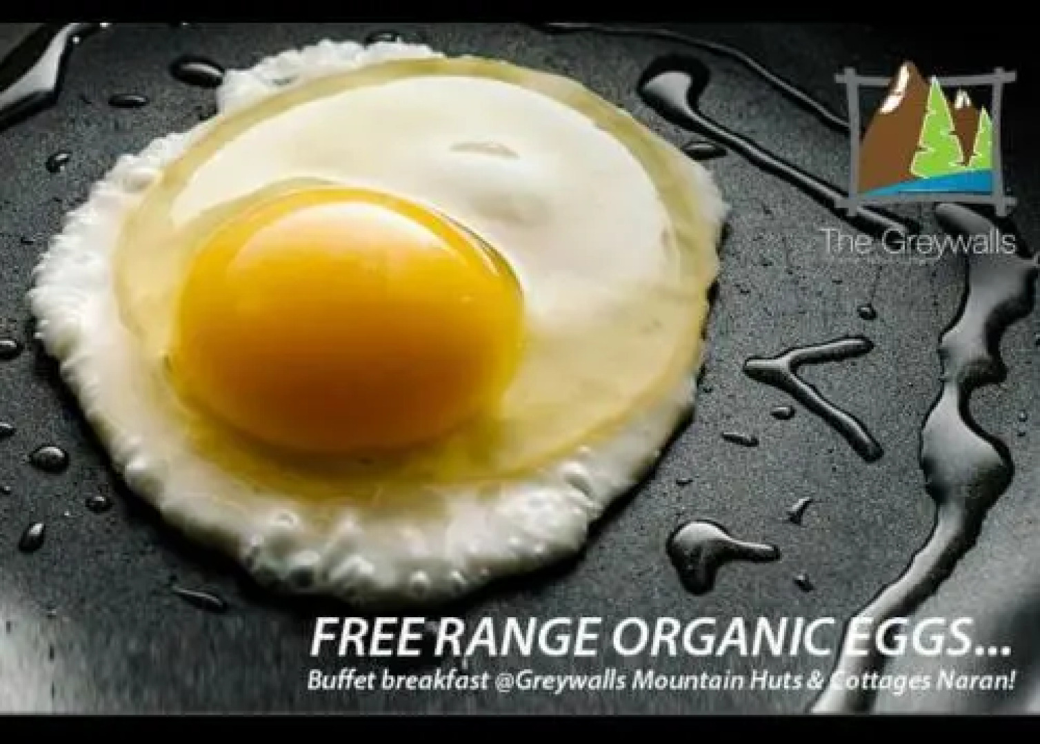 Grey Walls Mountain Huts & Cottages