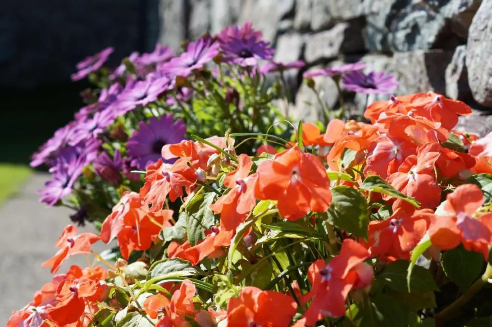 Y Stablau - The Stables