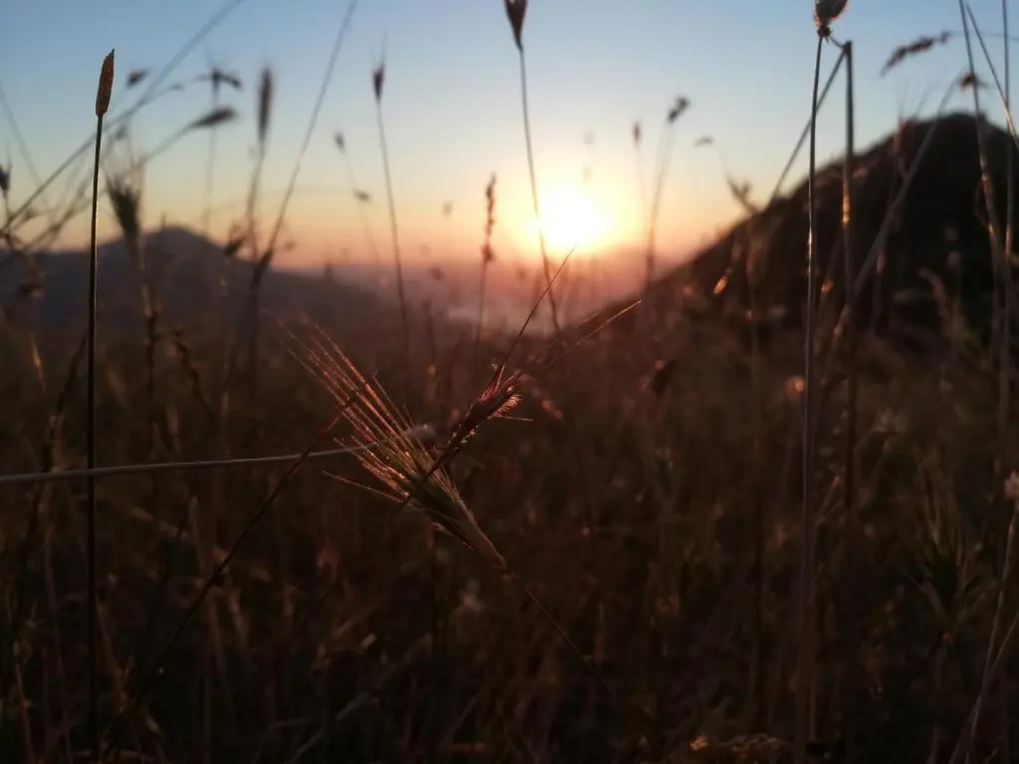 Valentini Guesthouse