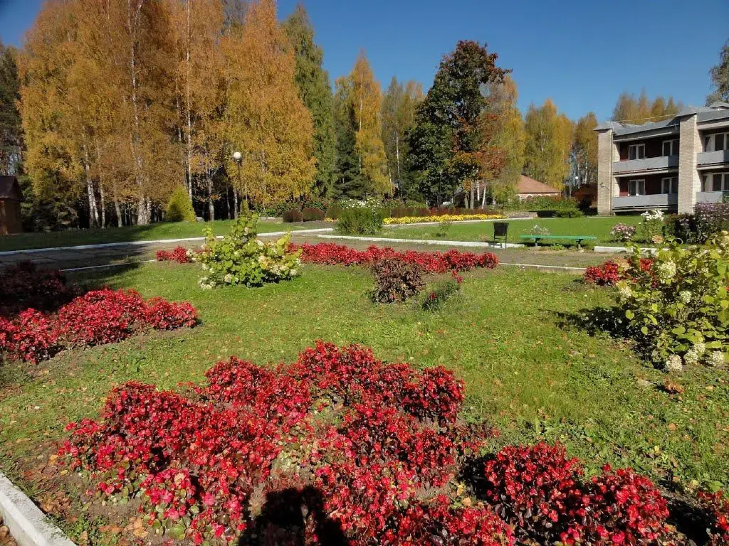 База отдыха Пушкиногорье