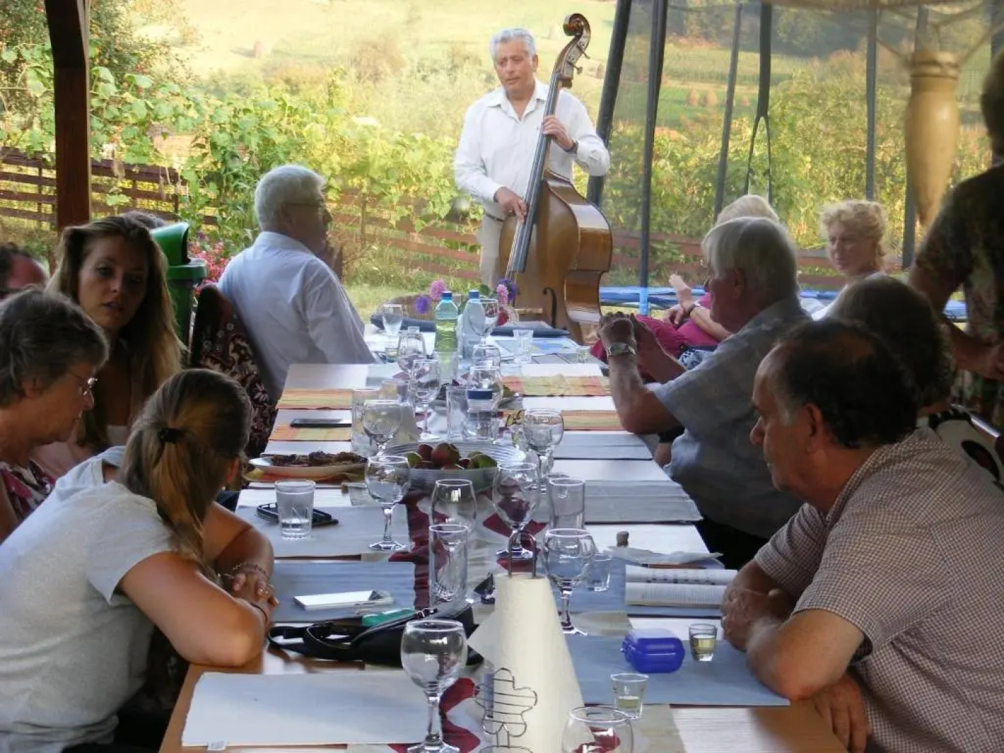 Pensiunea Dorel Codoban