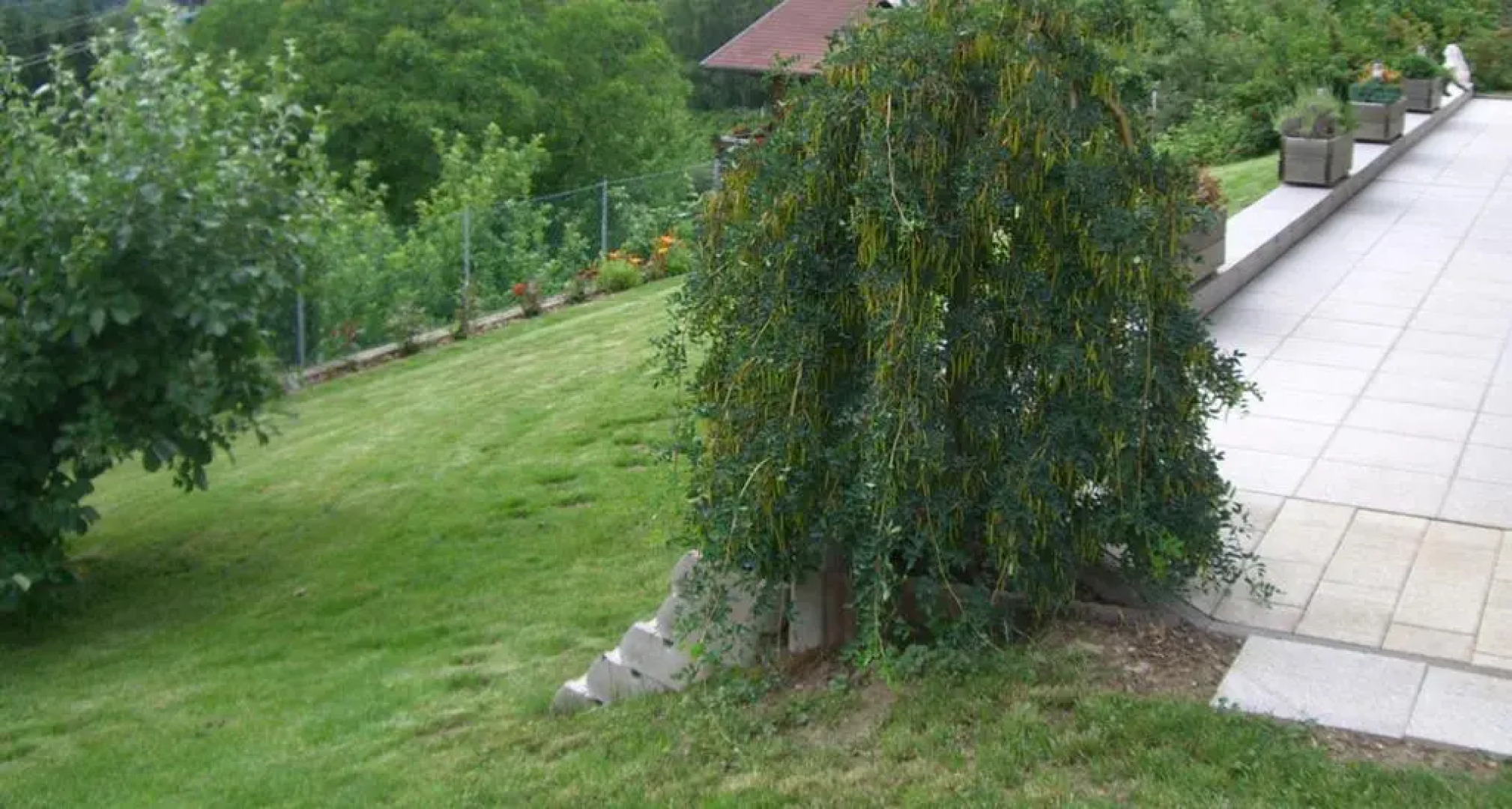 Ferienwohnung Jeller