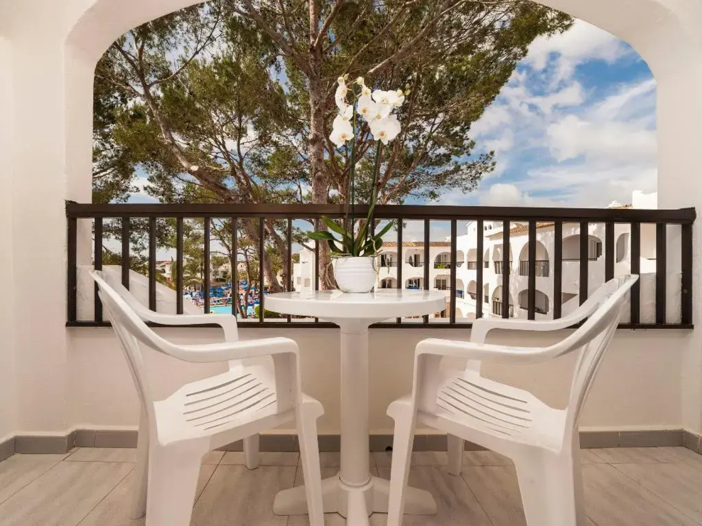 Globales Bouganvilla