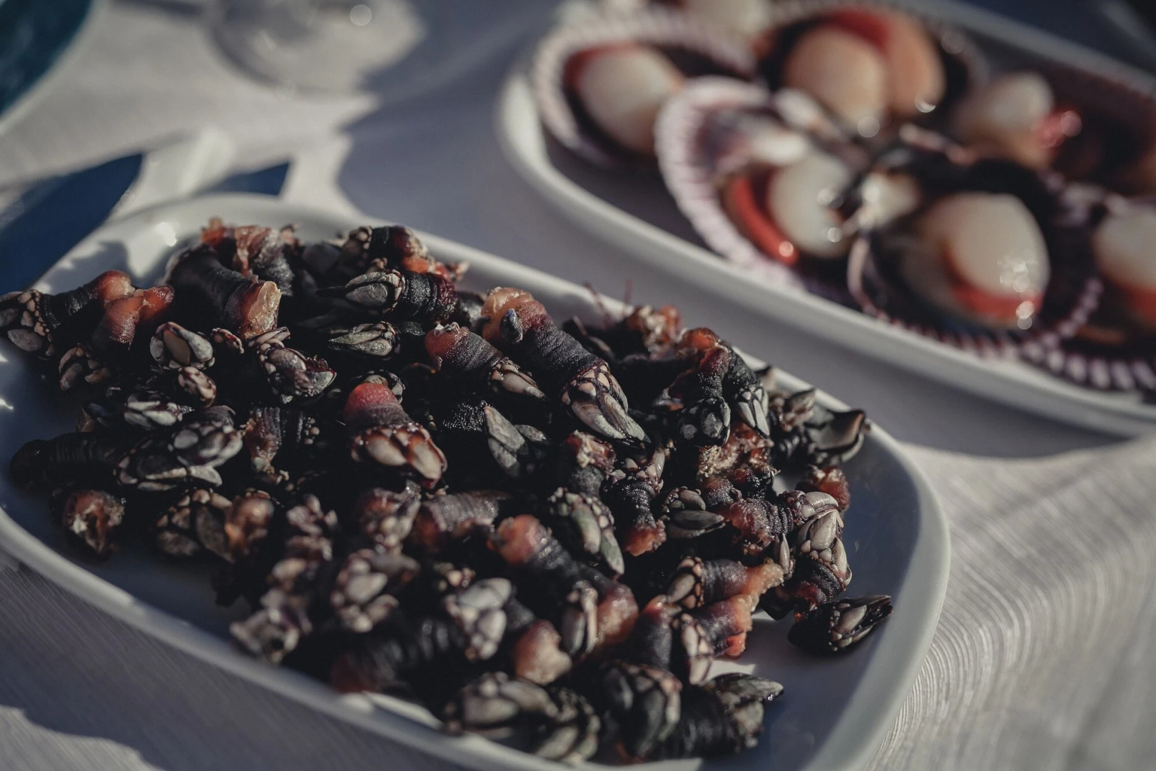 Hotel Playa de Camariñas