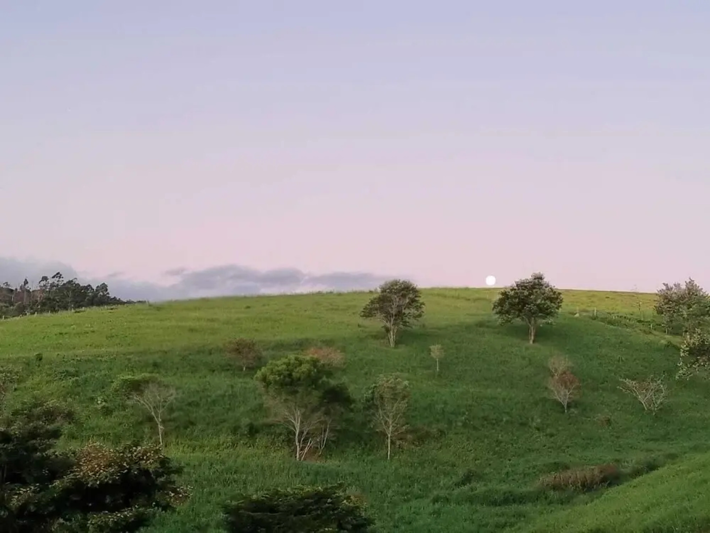 Pousada Haras Fazenda Jamaica