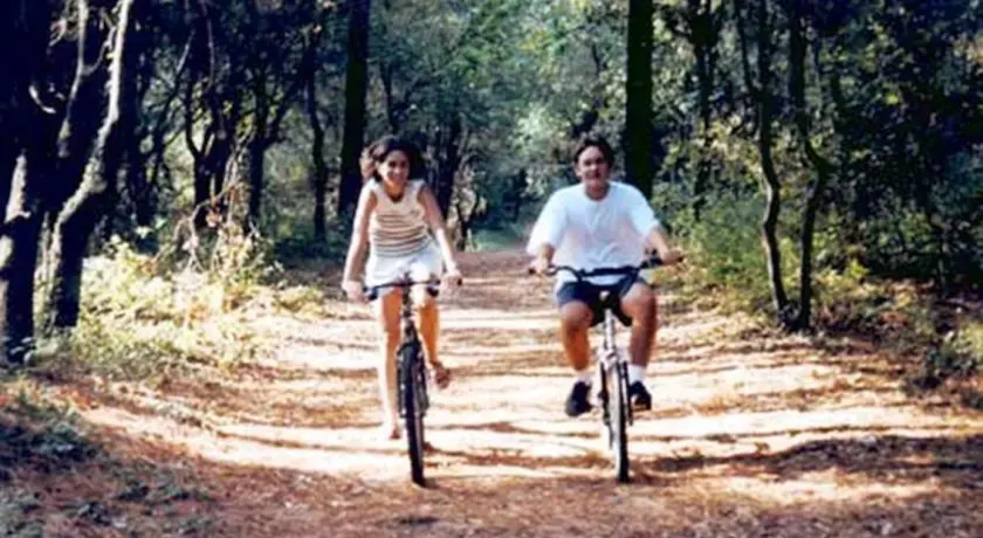 Residence de la Foret