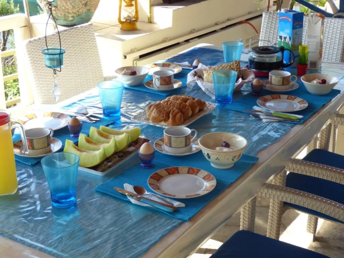 Odyssia near the Seaside