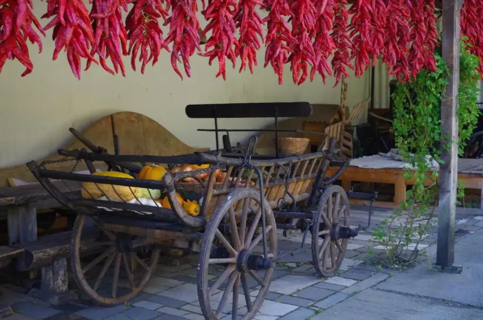 Hotel Plauter Kúria