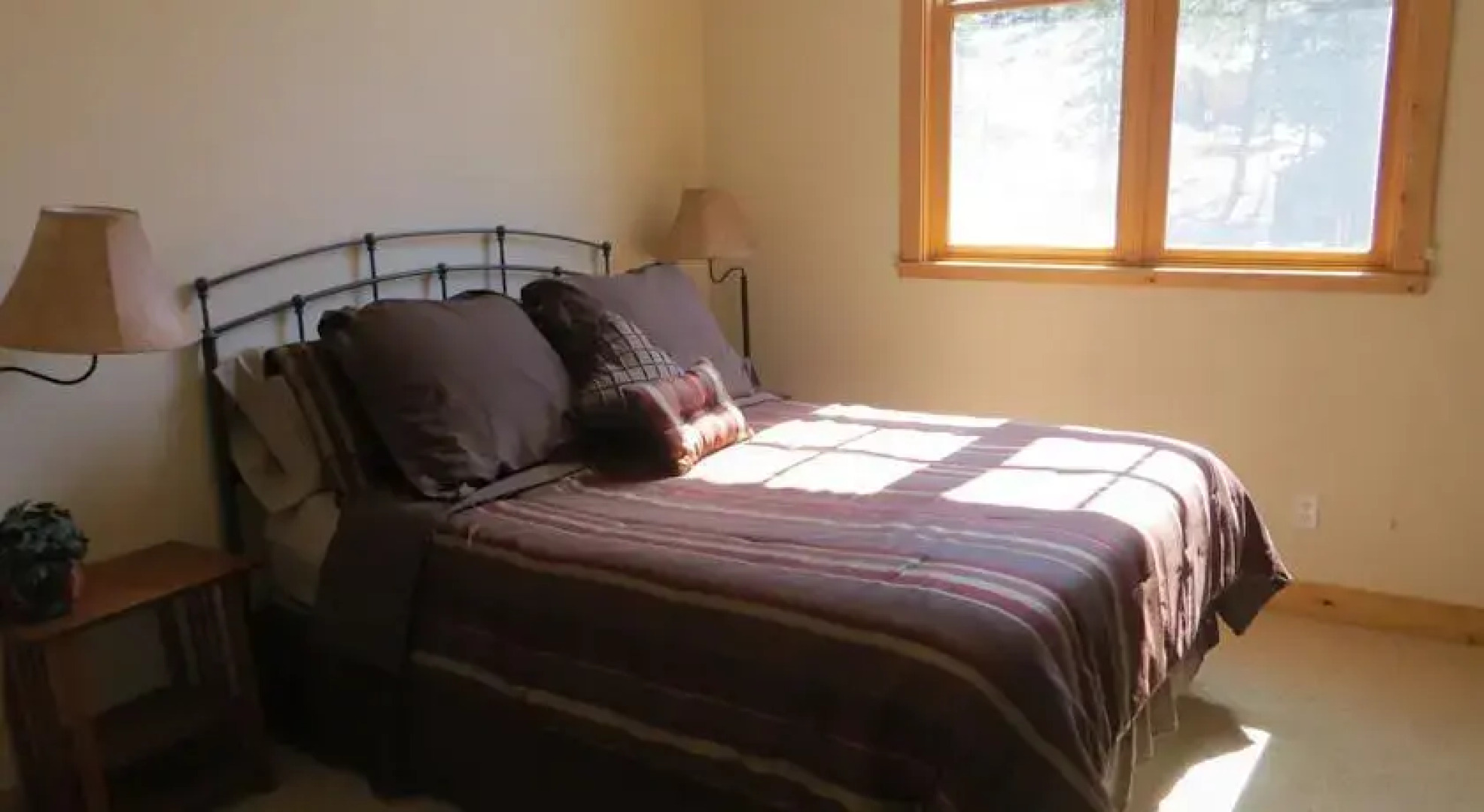 Black Bear 66 by Durango Red Cliff Properties