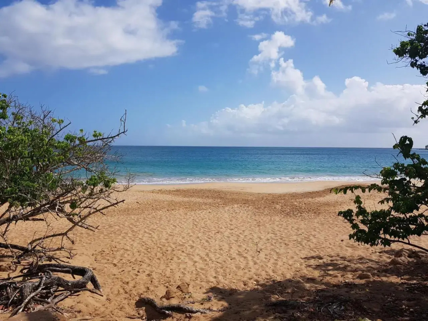 L'aurielle, Tout Le Confort a 500m de la Plage