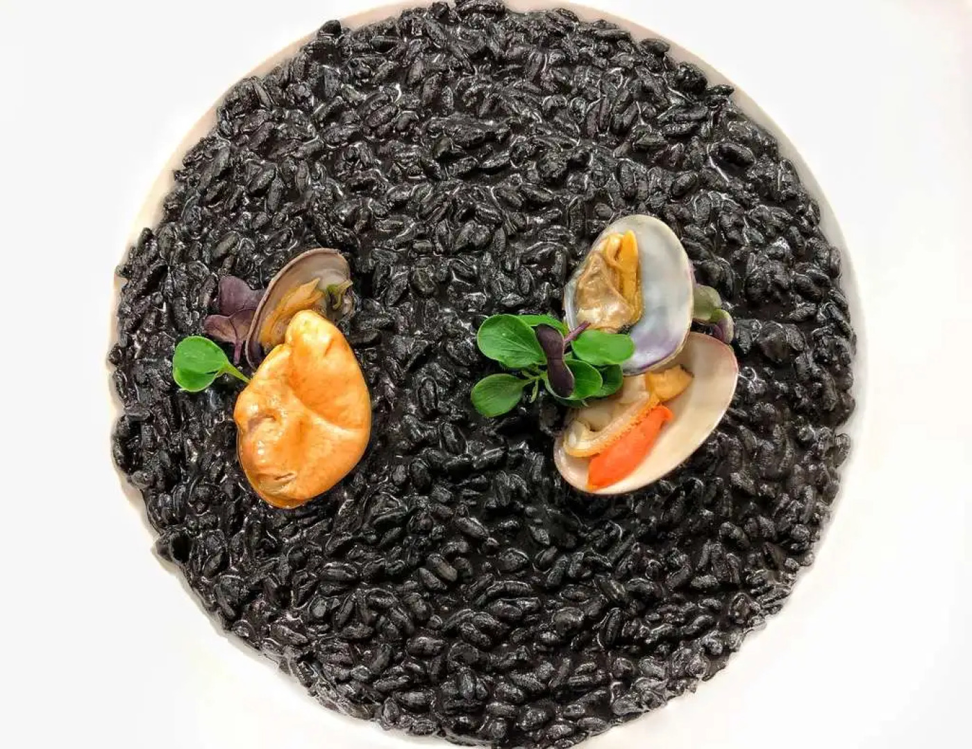 Posta Donini 1579 UNA Esperienze