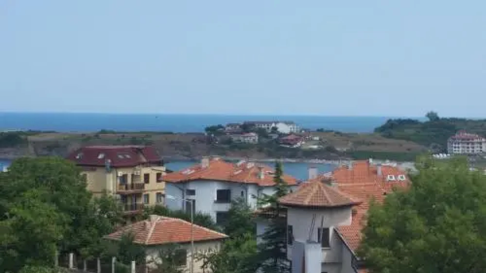 The Sea Lions Guest House