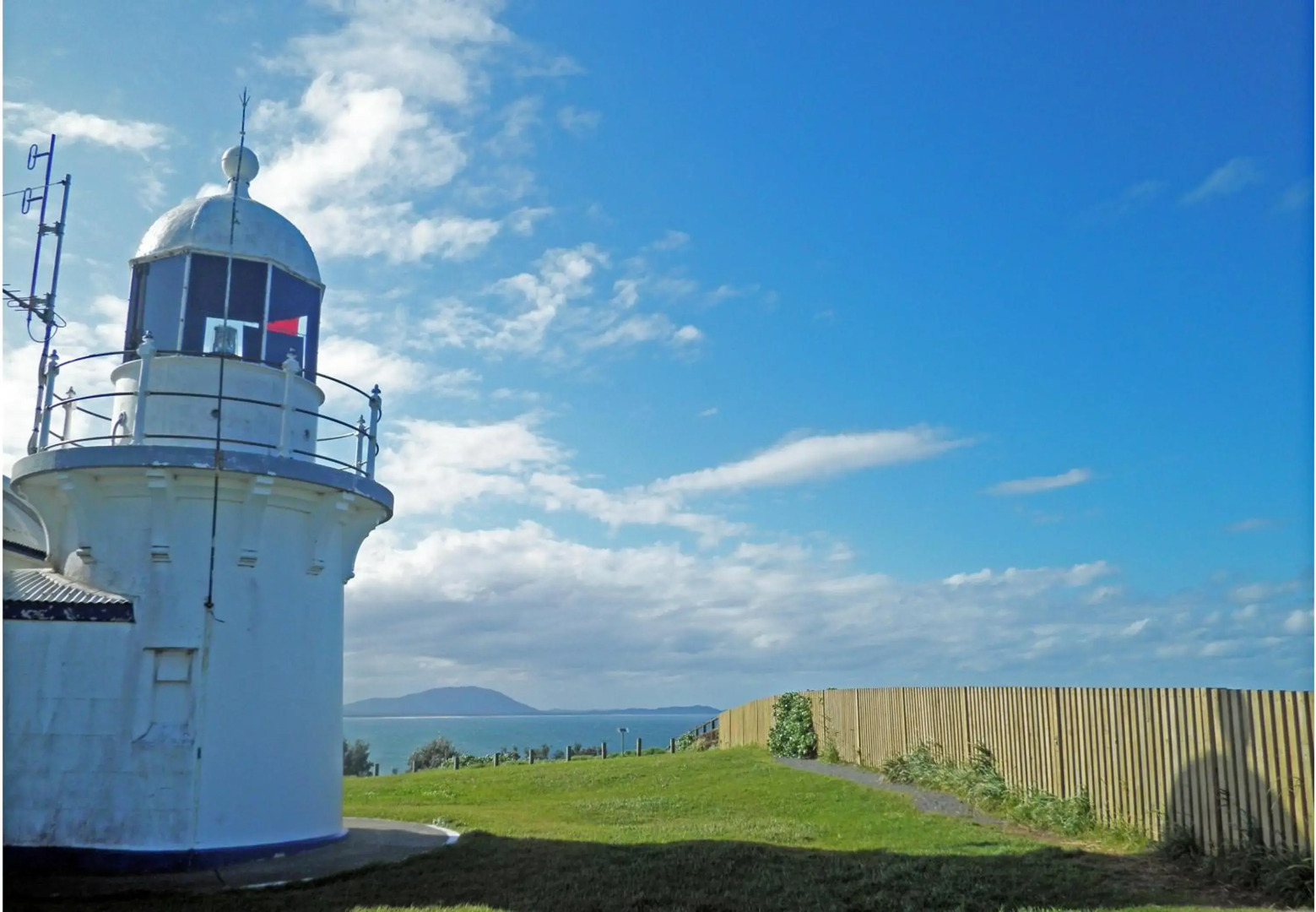 Harrys Haven Harrington