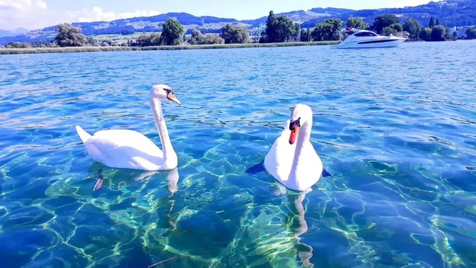 Schönes Studio in Arbon am Bodensee Neu Klimatisiert !