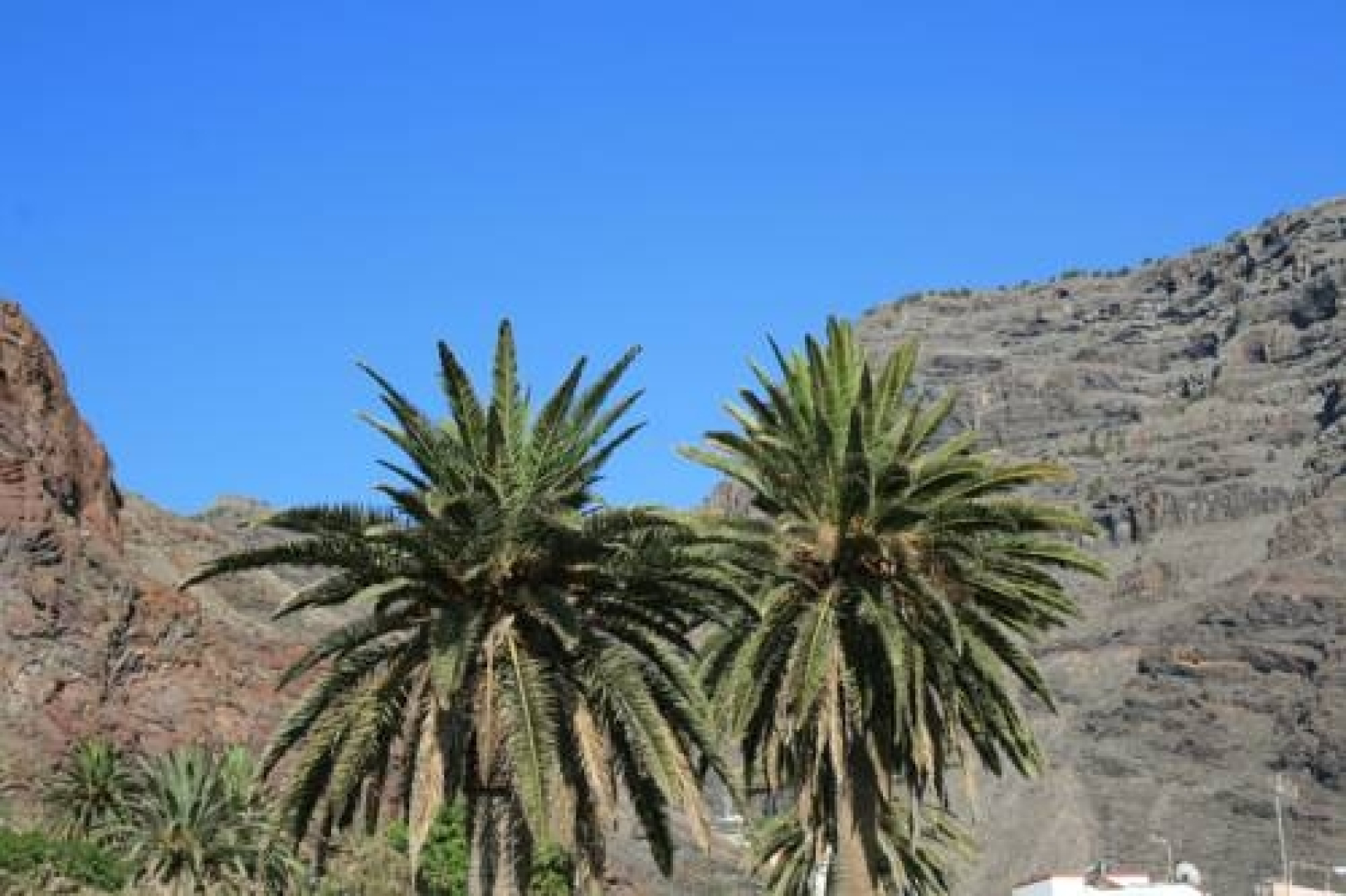 Apartamentos Los Medanos