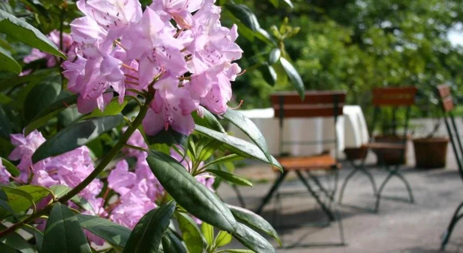 Beim Huber in Linden