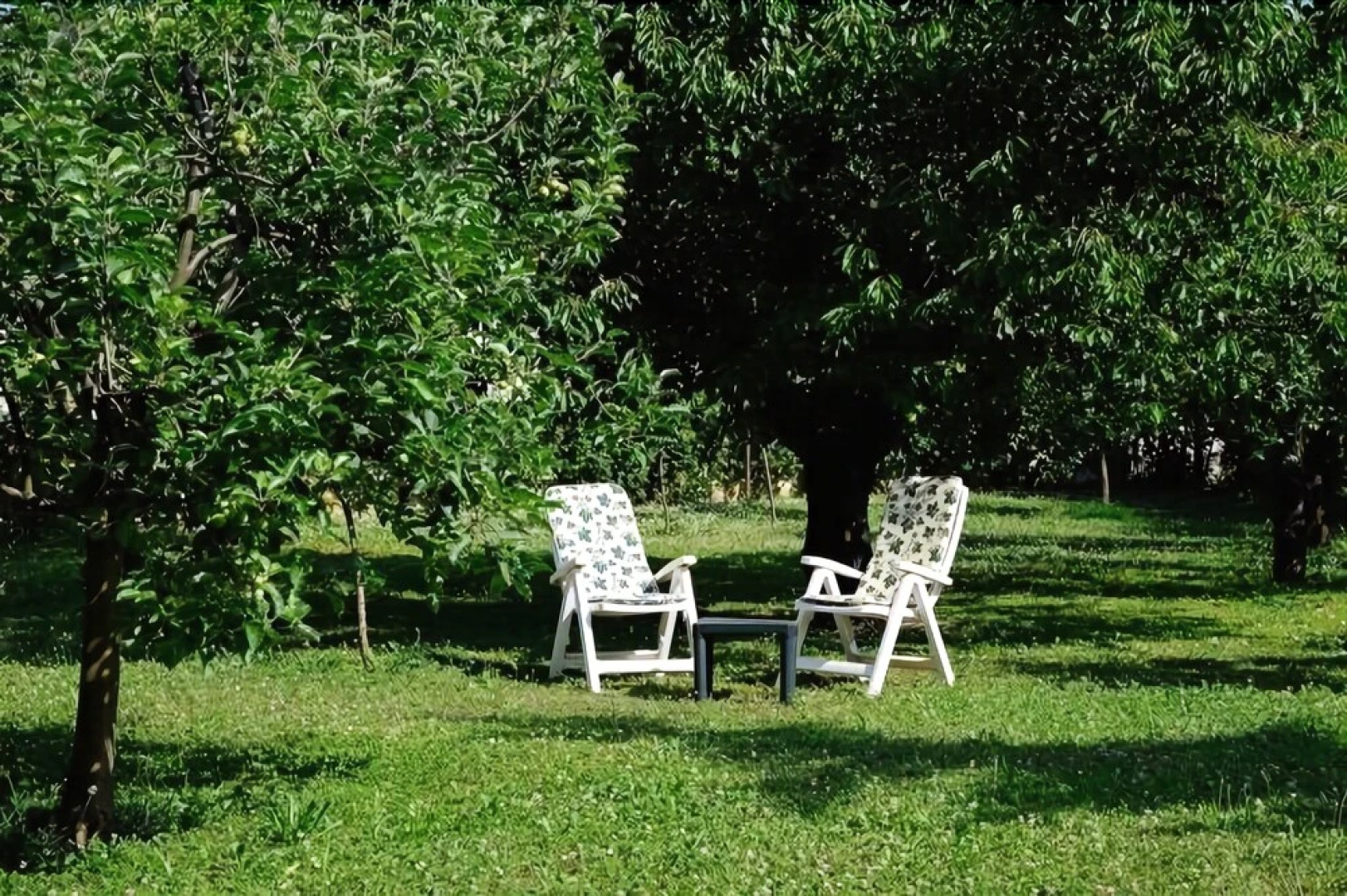 Casa Dalila