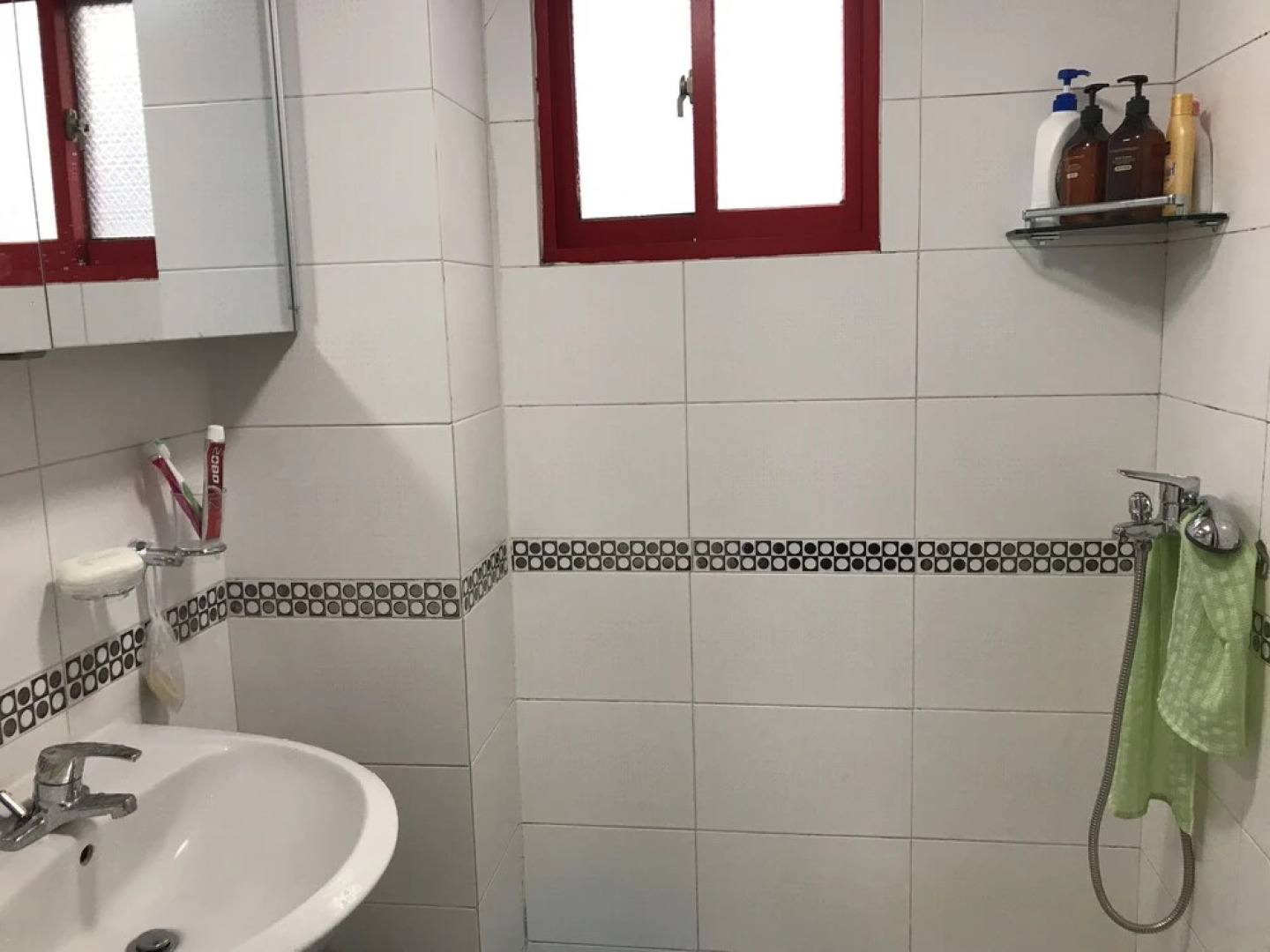 The house of gallery