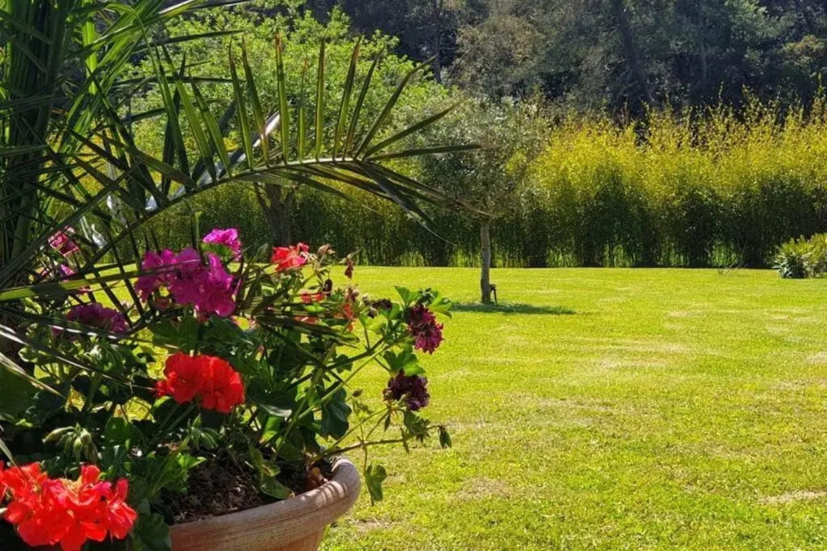 Les Prairies de Fenestrelle SPA & Piscine Au Calme