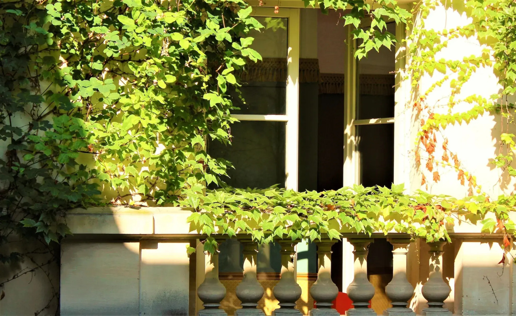 Le Relais Saint Sulpice