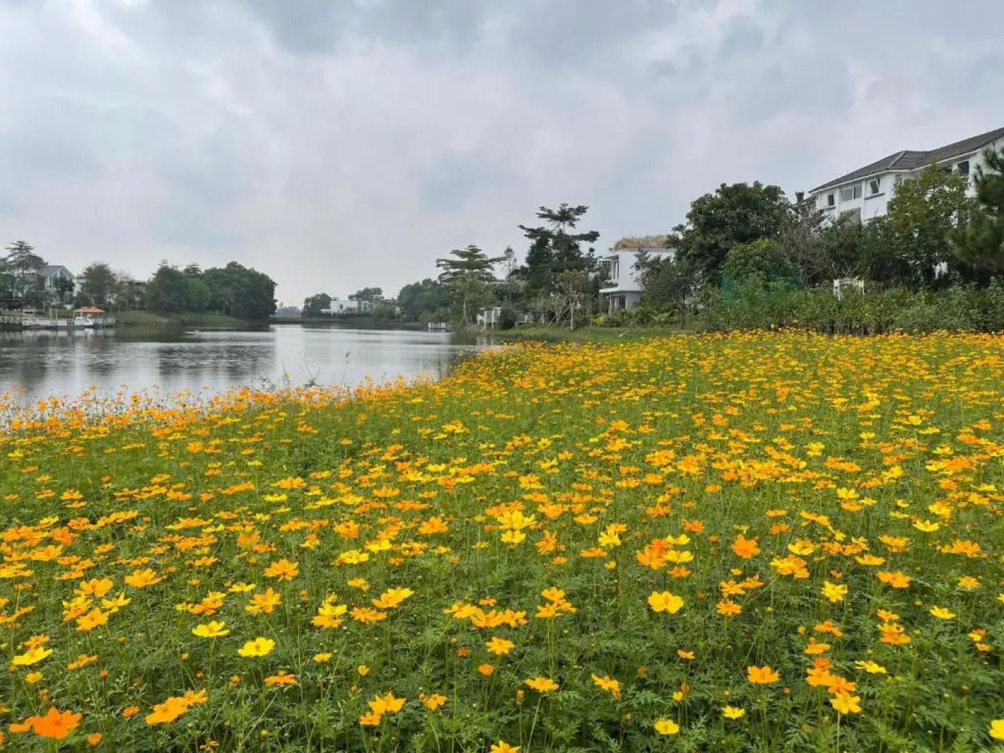 Flamingo Happy Villa Owner