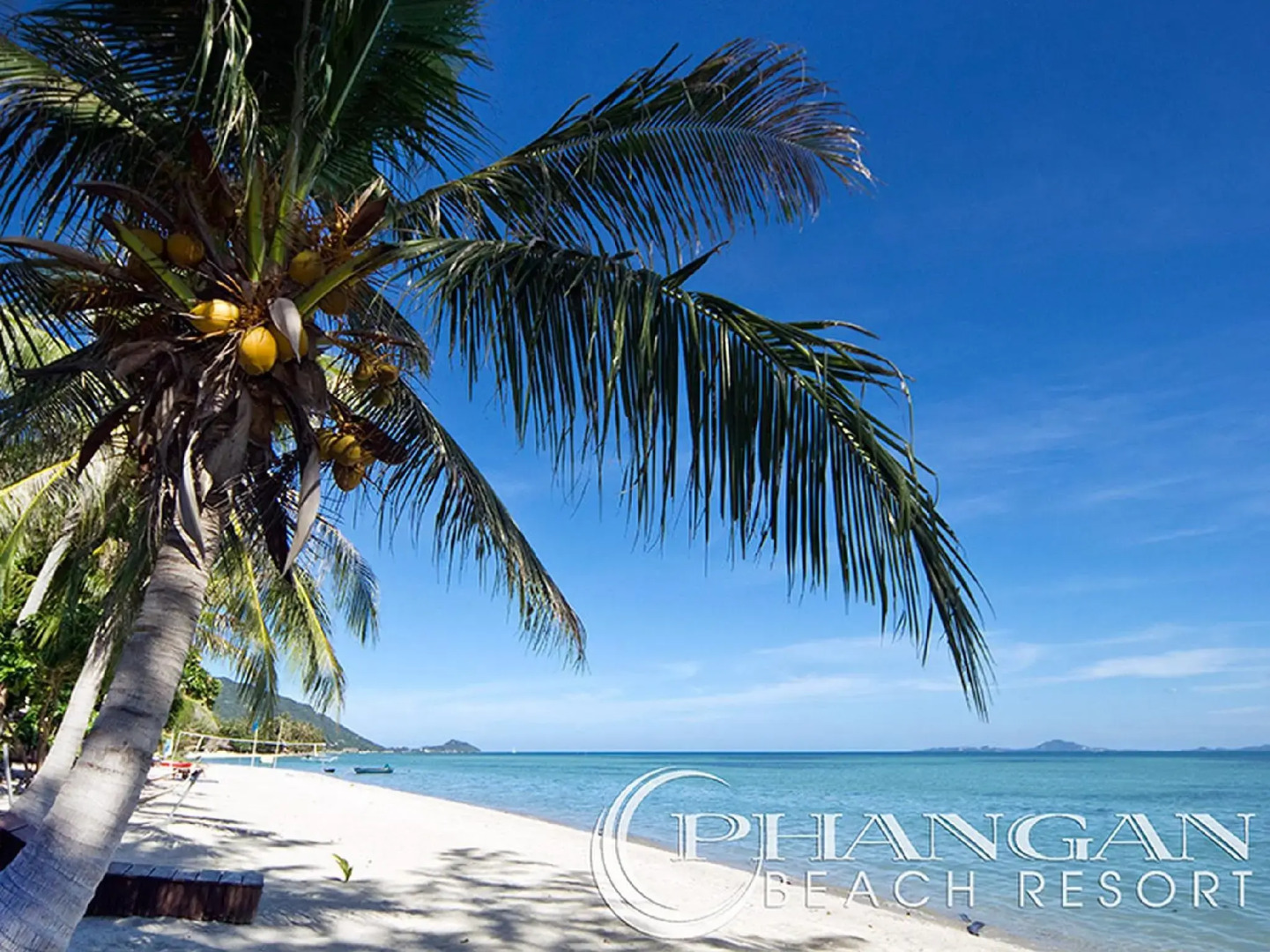 Phangan Beach Resort