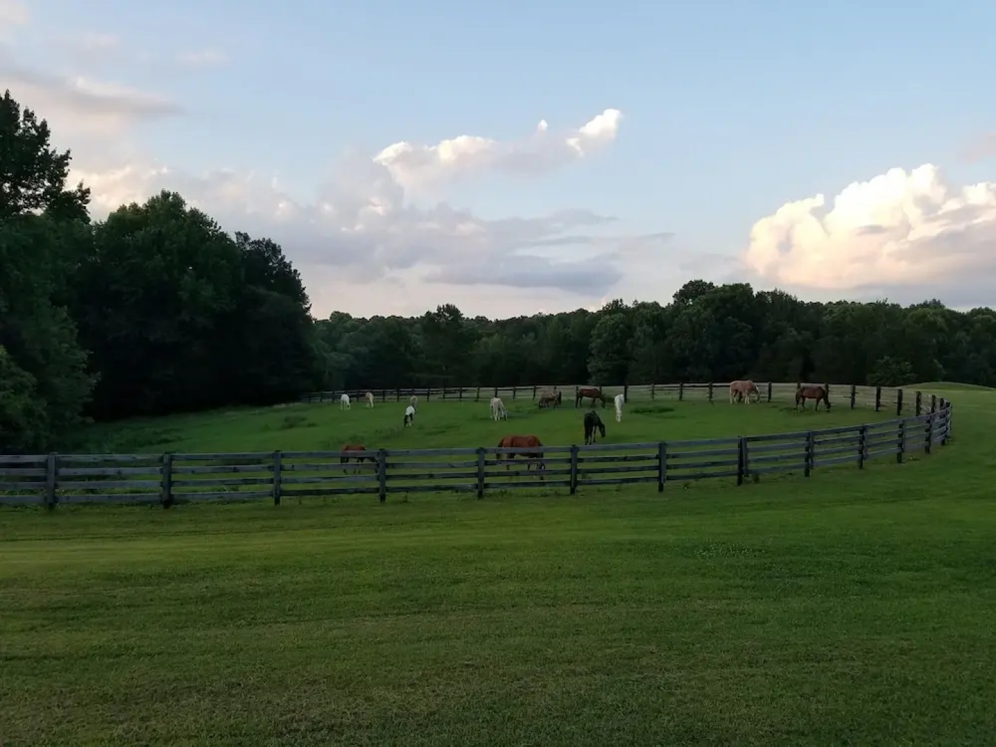 Barren River Lake State Resort Park