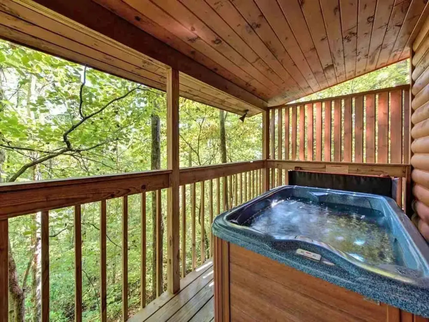 Star Struck 1 Bedroom Home with Hot Tub