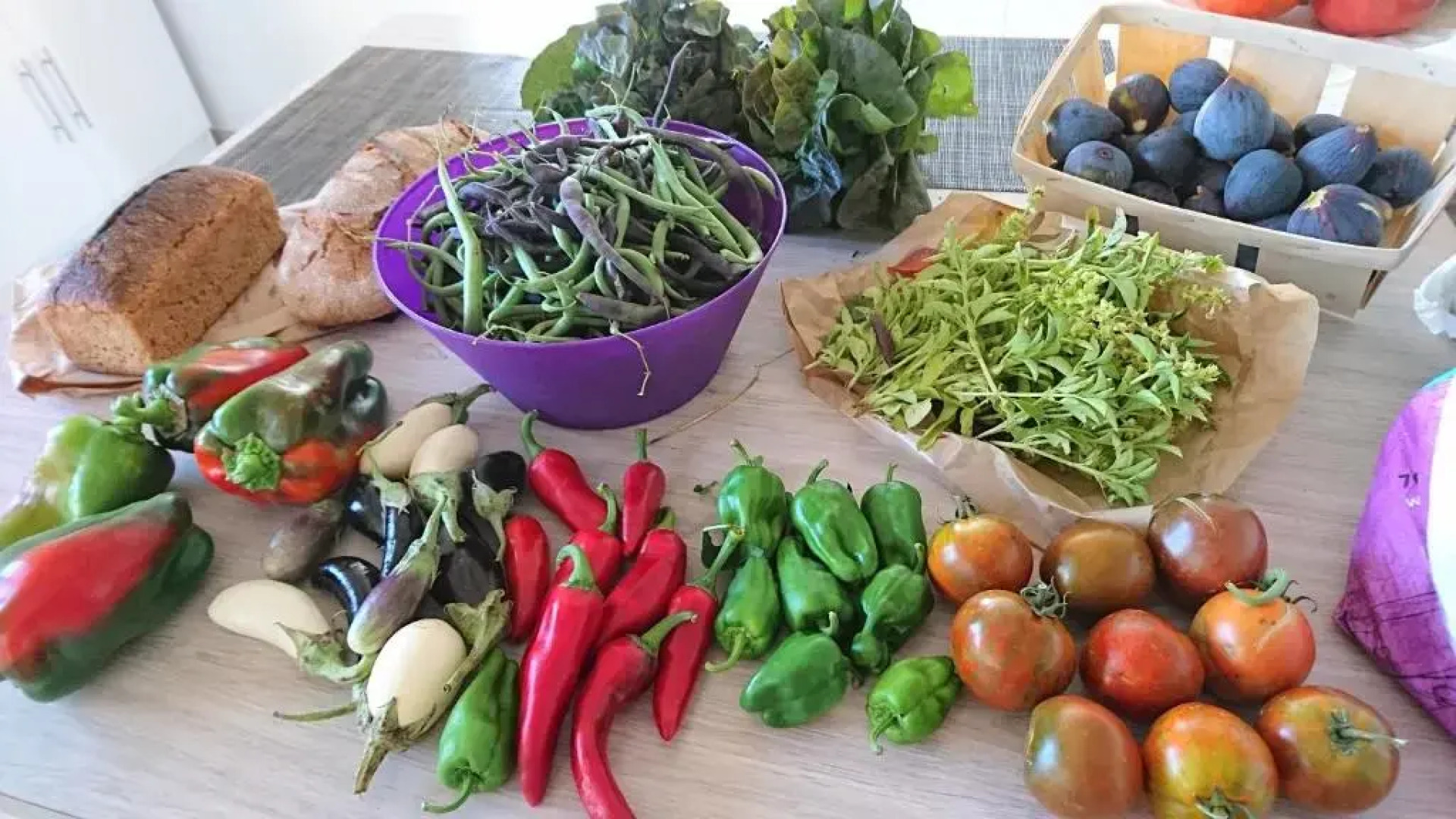 Appart indépendant dans propriété 4000 m2 Luberon