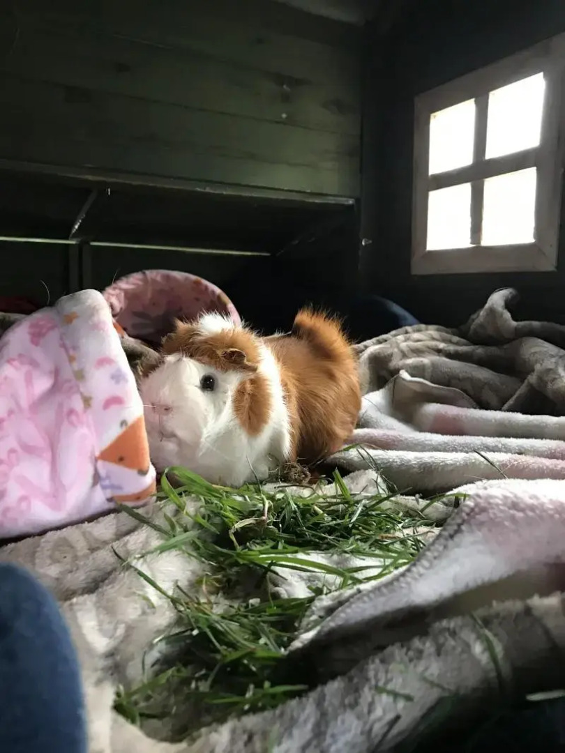 Tailor Made Tekapo - Hostel