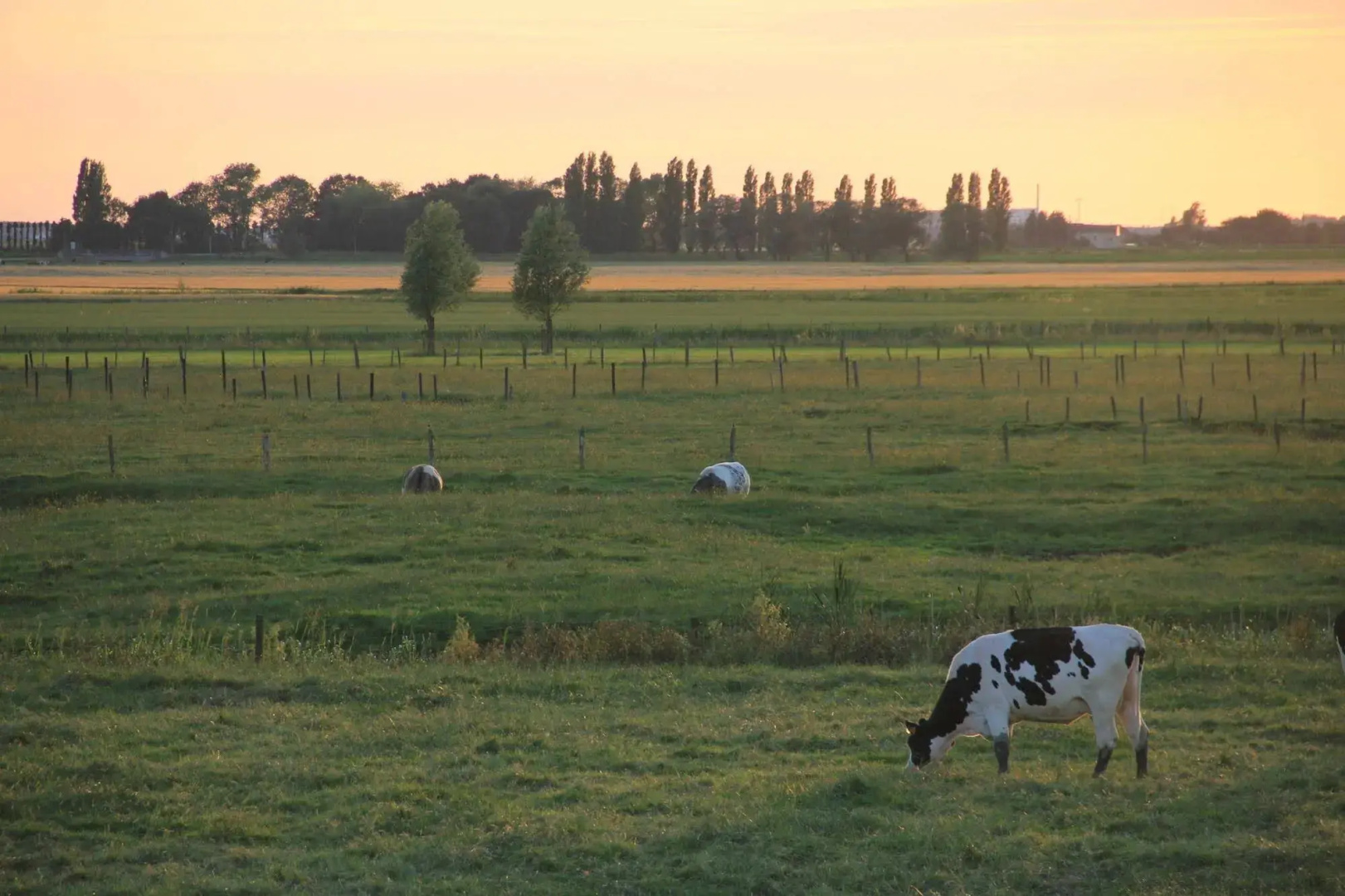 Polder27