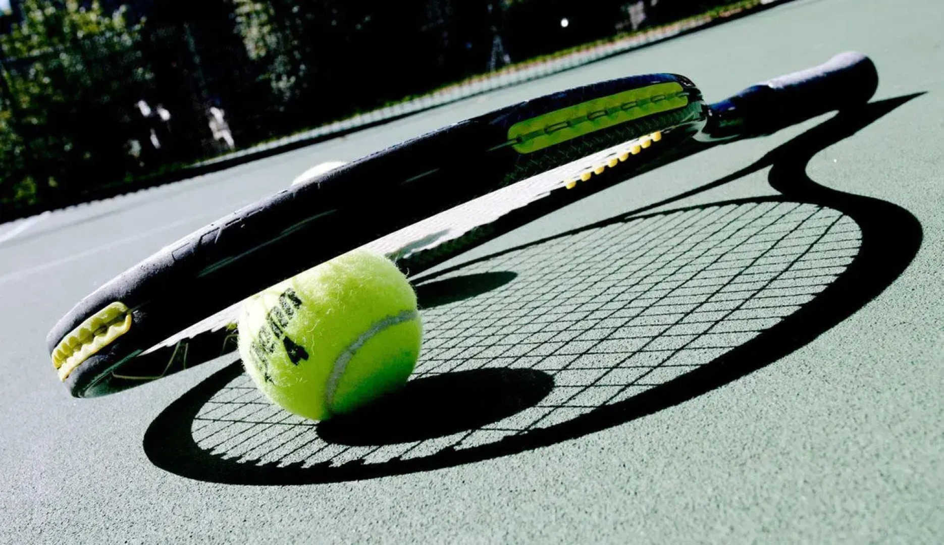 Pointe at Castle Hill Resort