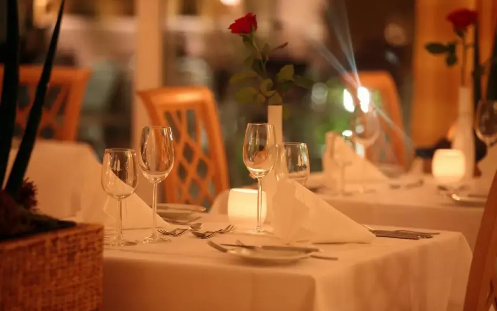 Wiedemanns Weinhotel