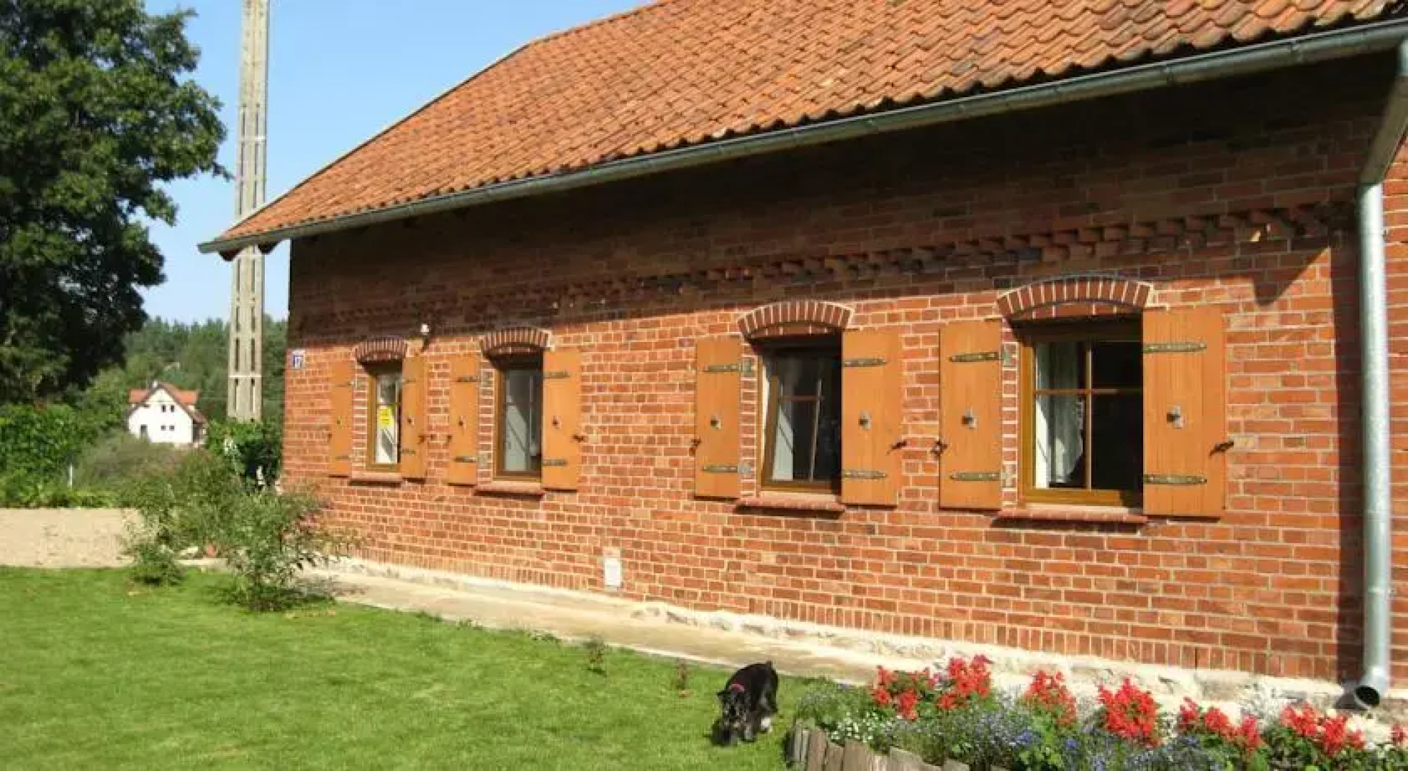 Pieczarki