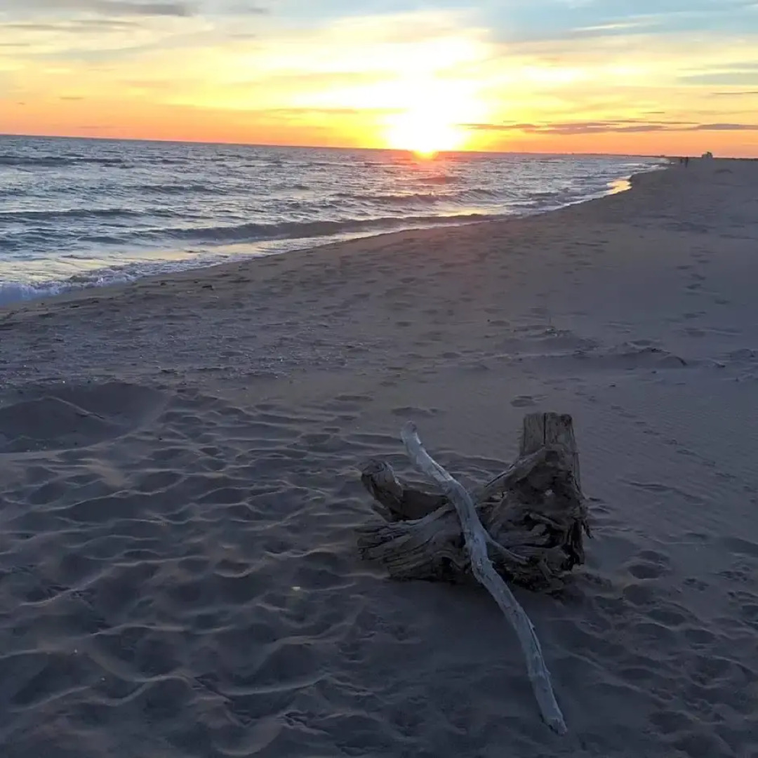 Maébrilu Camargue Provence