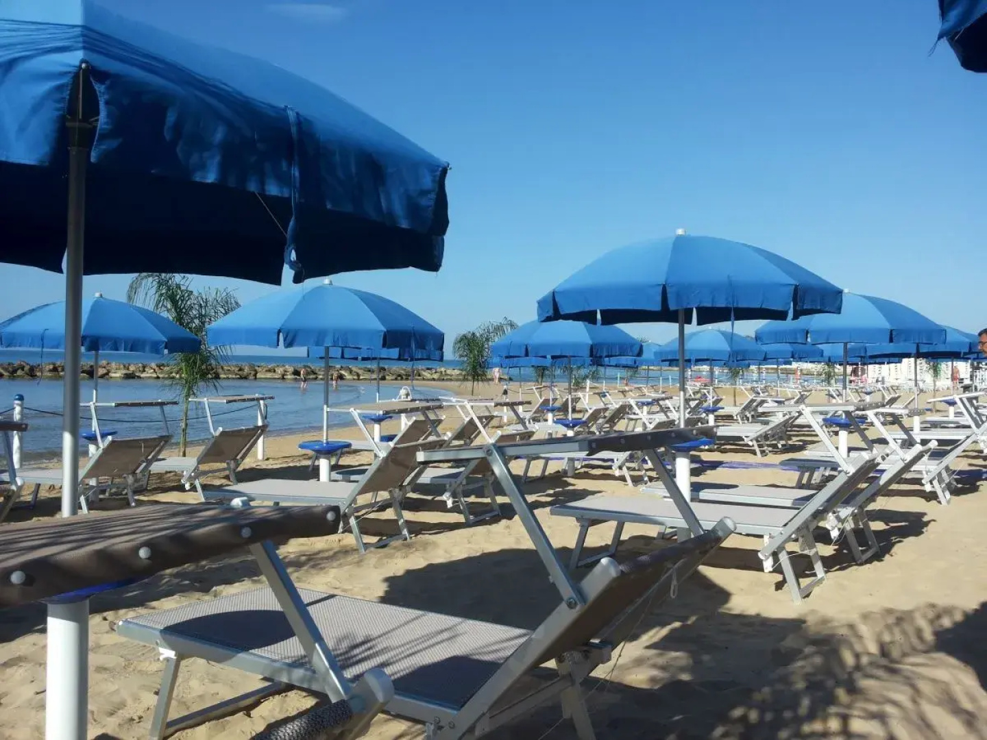 Acacia Marina