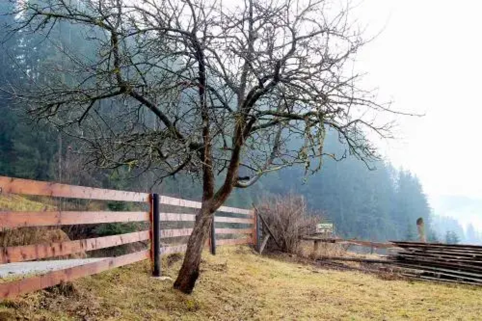 Sadyba Kazkove Dzherelo