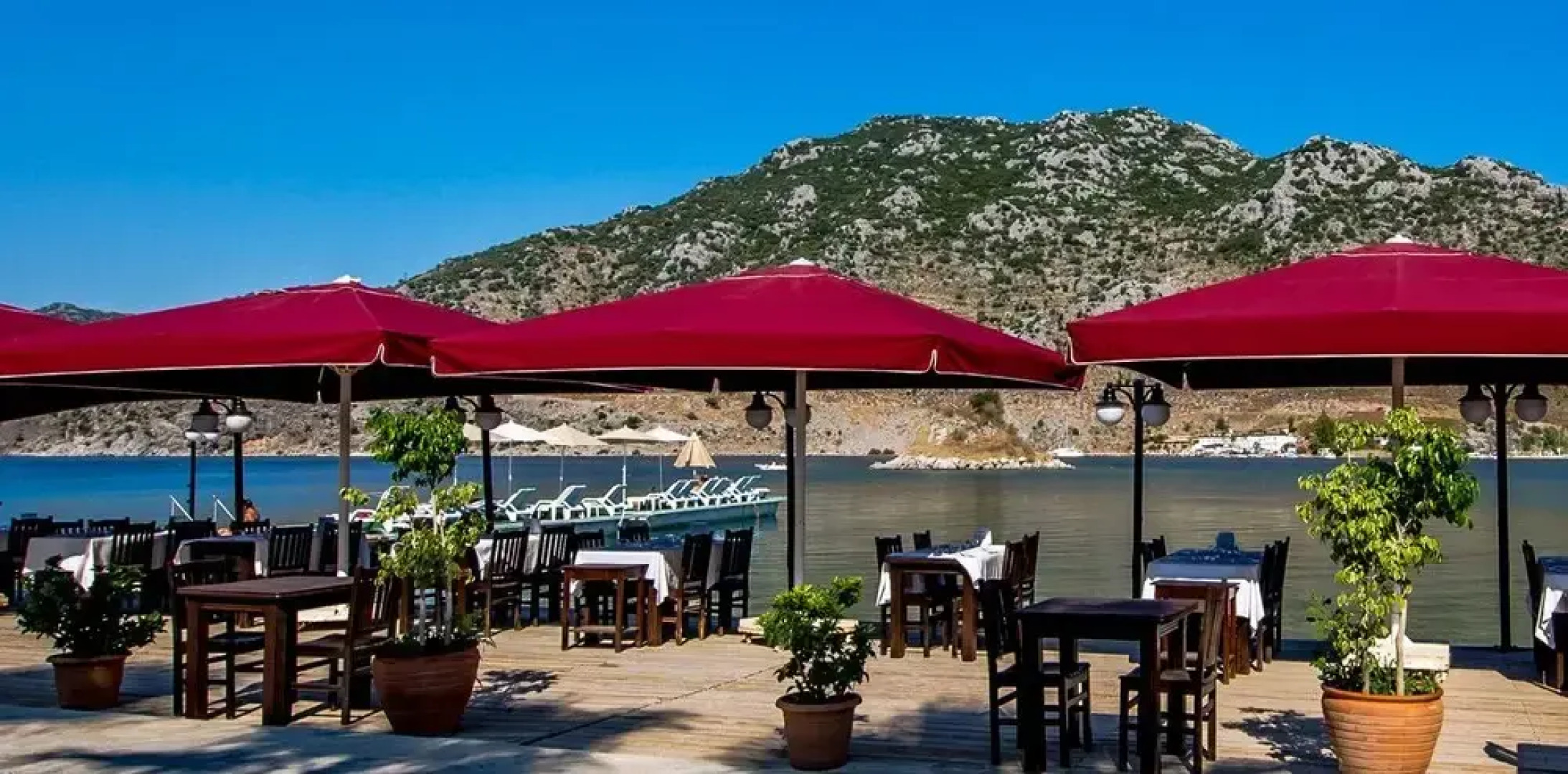 Palmetto Resort Hotel