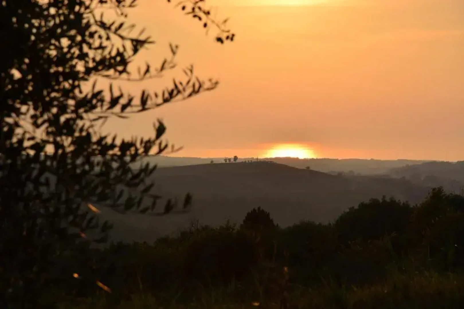 Bella & Stella rooms