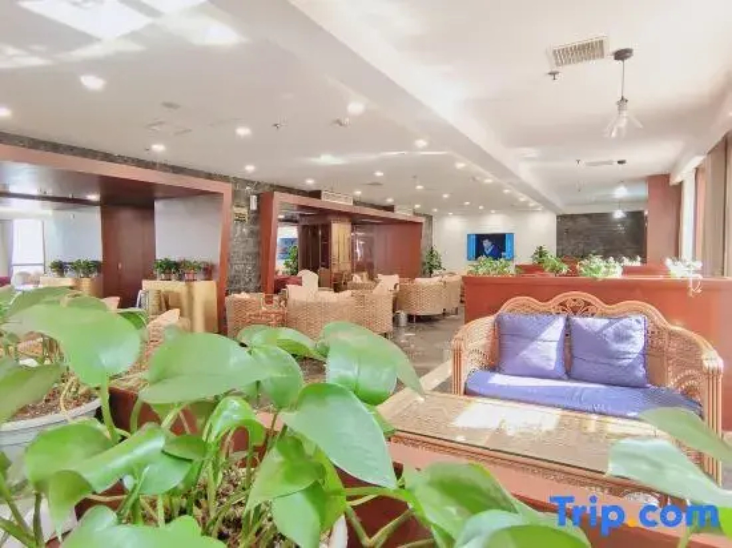 Yingxiang International Hotel