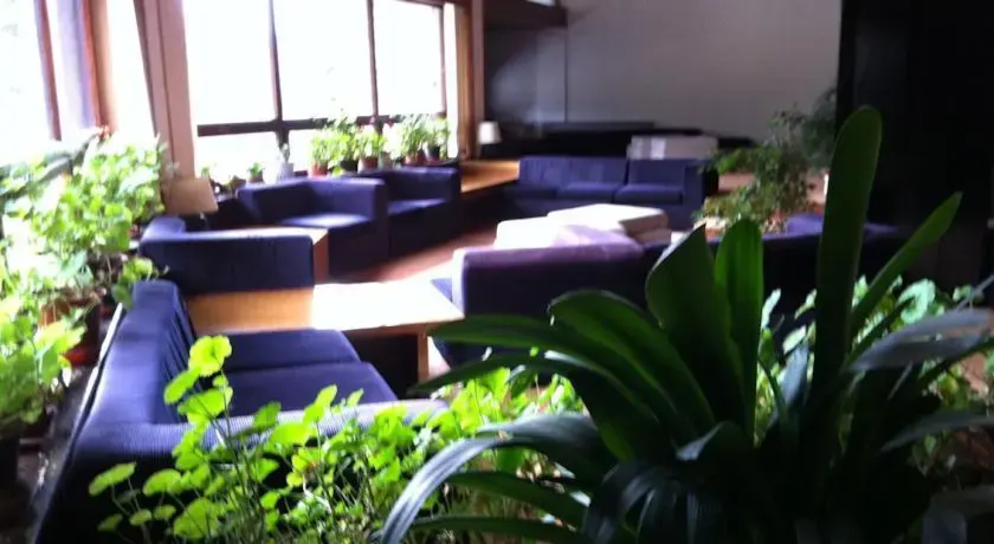 Residence la collinetta