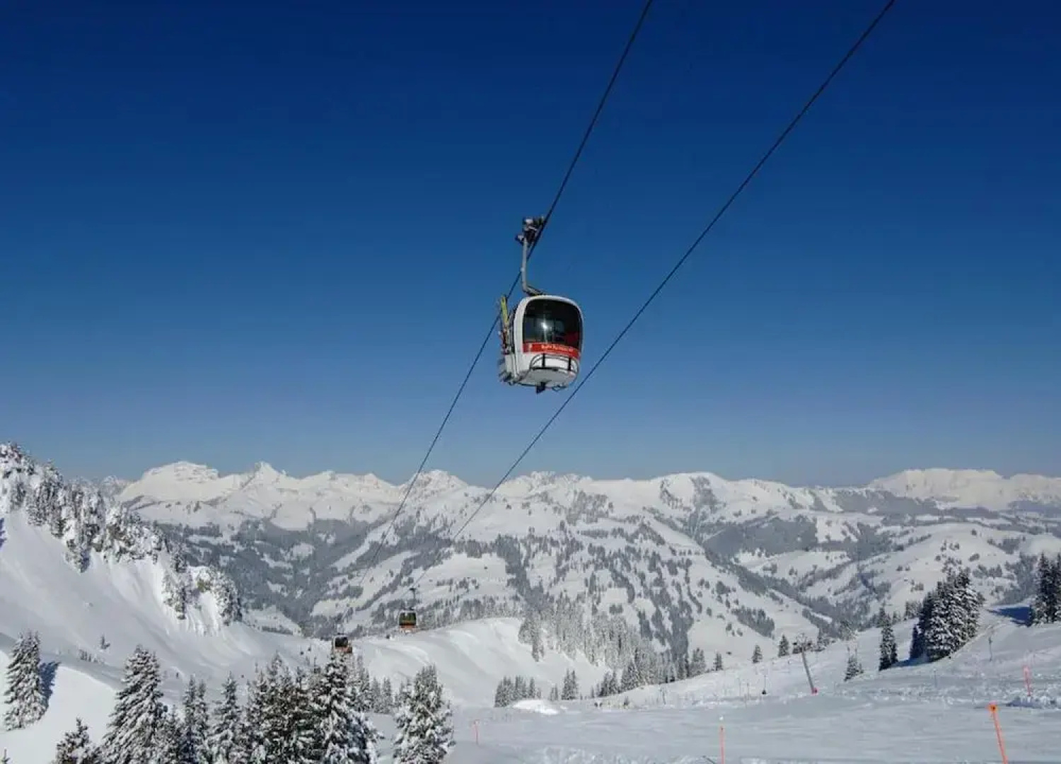 Contemporary Swiss Escape