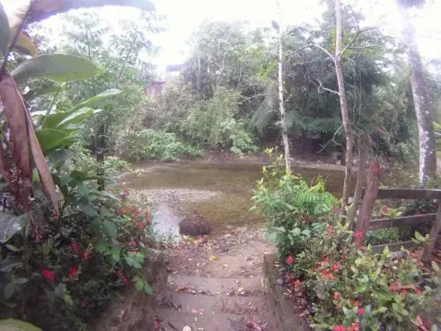 Ecoparque Agua Selva