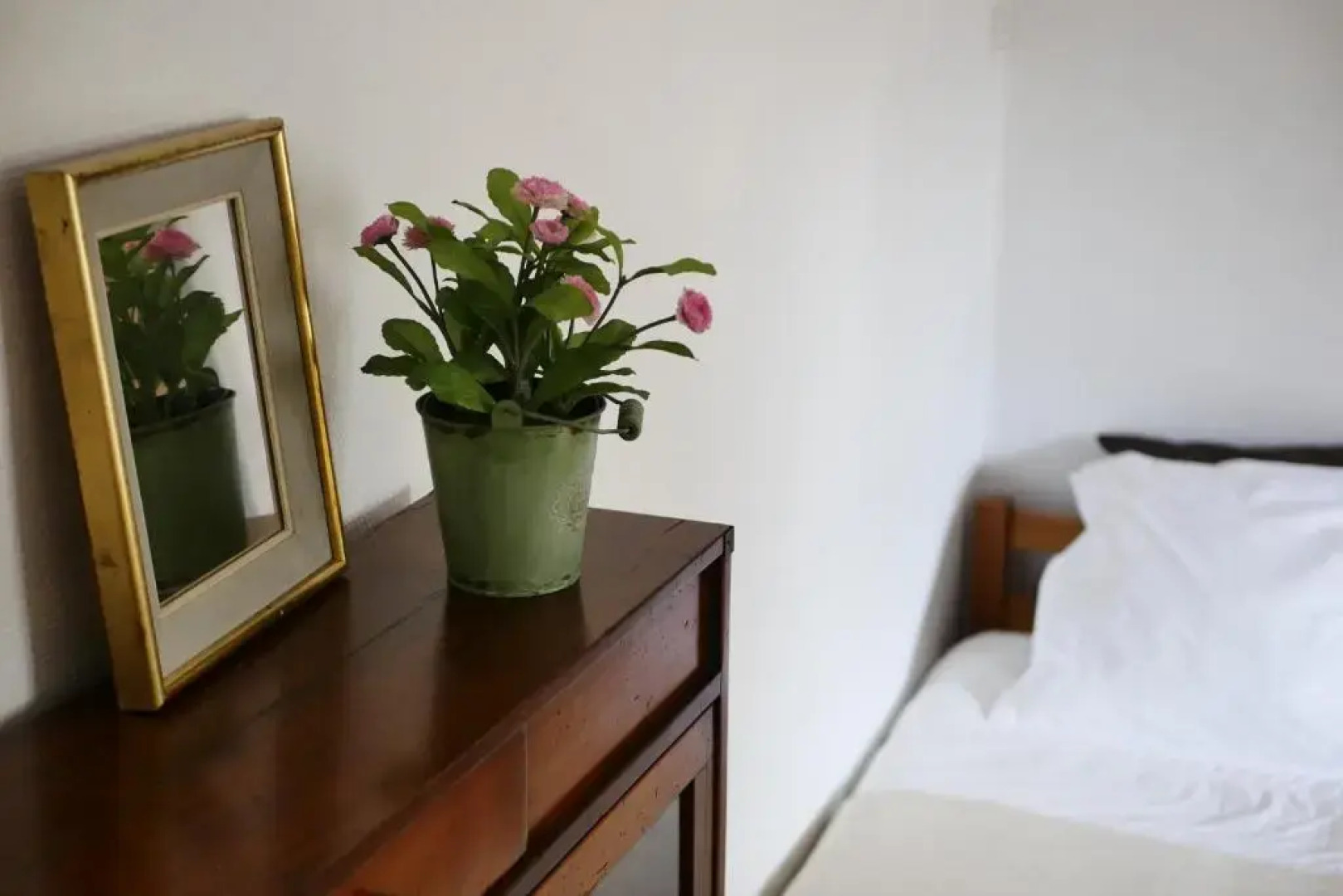 Les Oiseaux de Passage