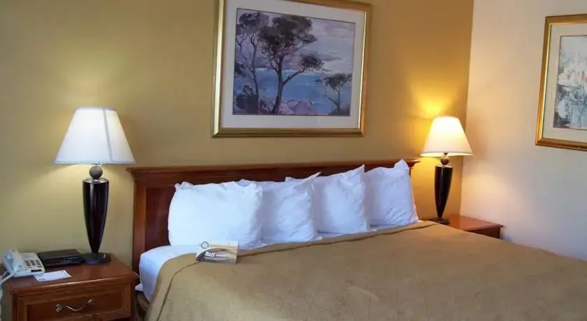 Quality Inn And Suites