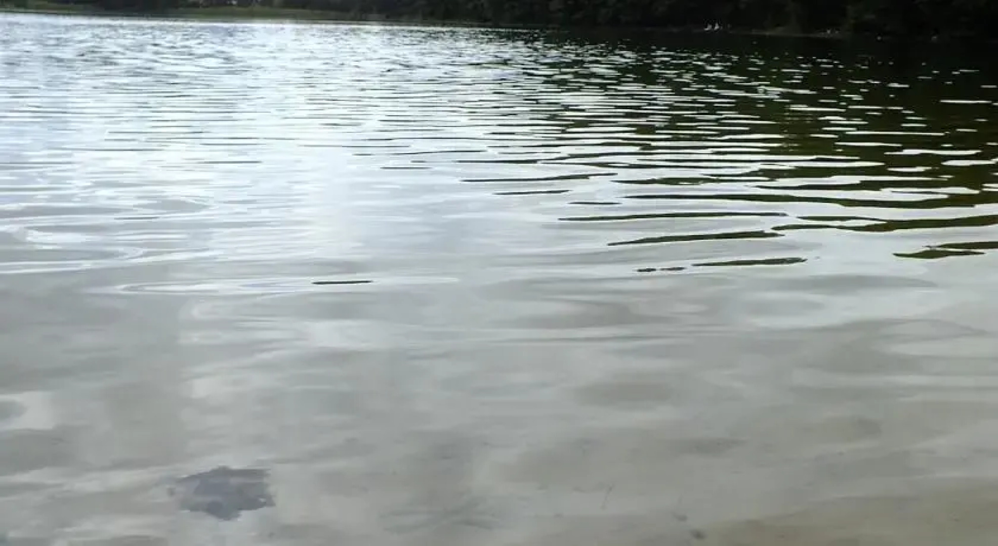 Agroturystyka Wielkie Leźno