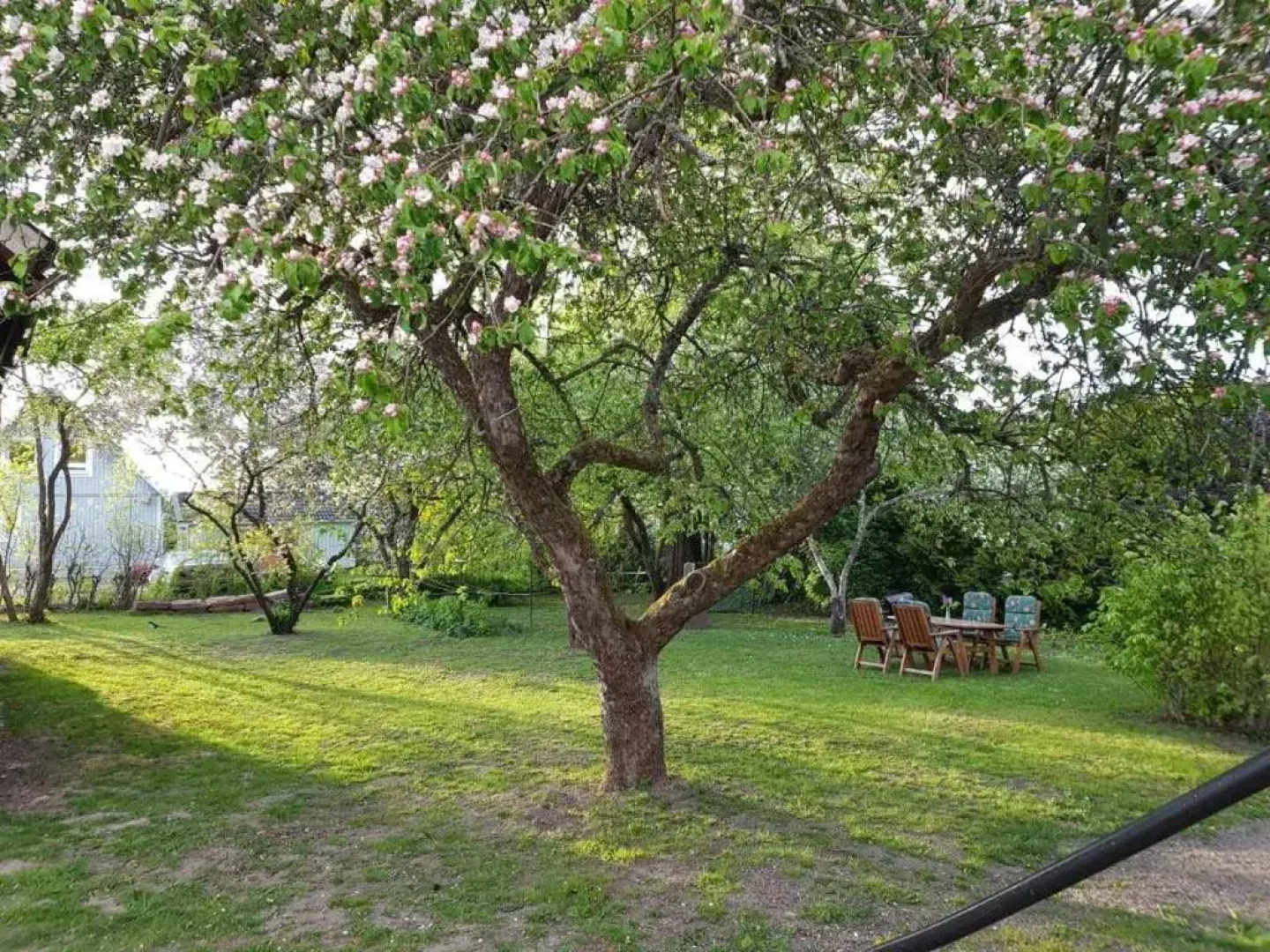 Snickaren Vandrarhem i Grästorp - Egen Lägenhet